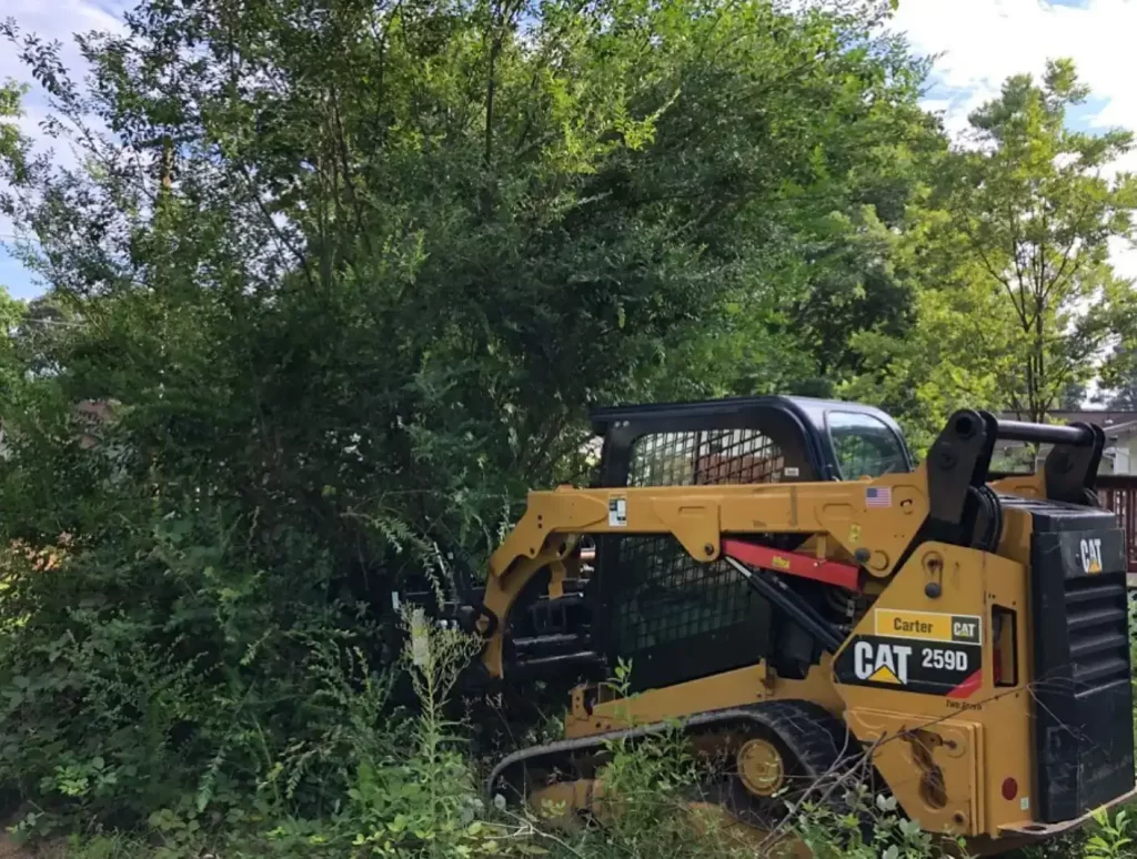 skid steer used to clear tall brush in chesterfield, va