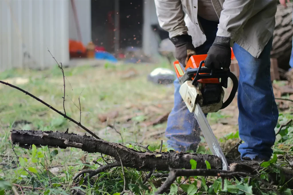 Man uses chainsaw to cut a think tree branch on the ground.